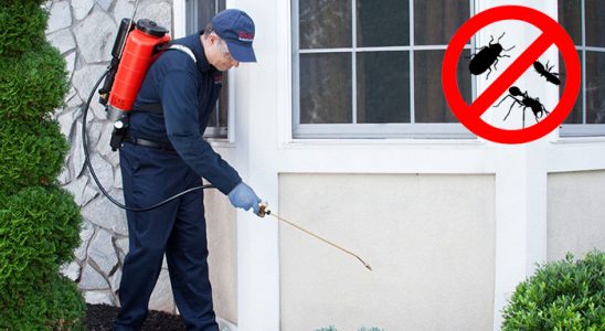Kovancılar Kene İlaçlama böcek ilaçlama ve haşere kontrolü — ilaclama-tr.com